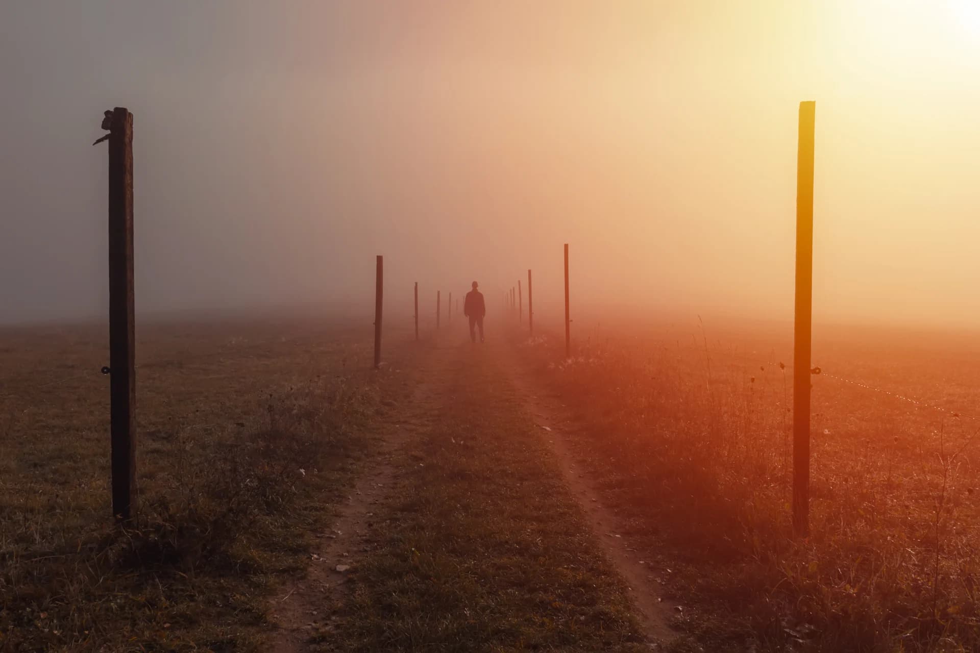 A man from the back, lonely, walking through the miraculous business landscape in which the internet firm, Tincre, operates.