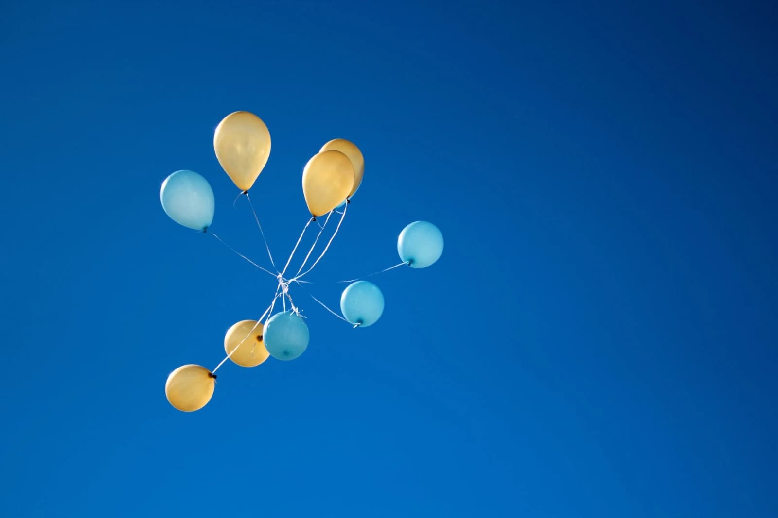 Colorful balloons float on a peaceful sky backdrop, signifying the rising tide of Tincre and its brands.