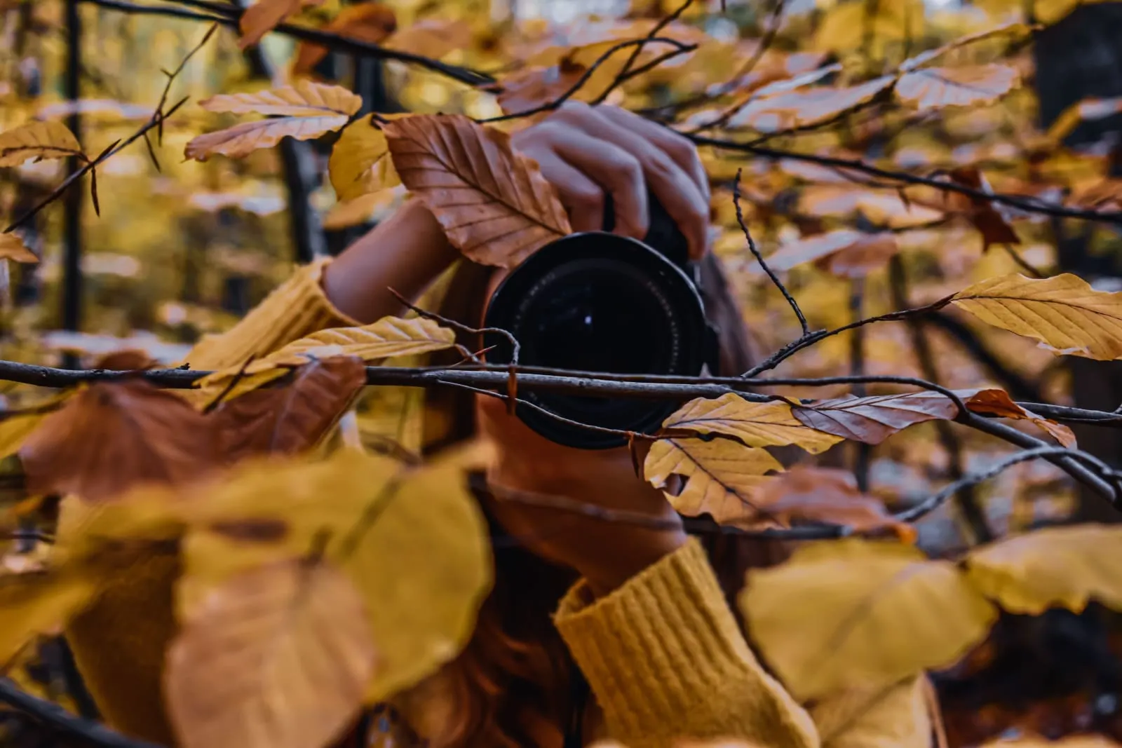 Beautiful fall backdrop with a photographer pointing a large DSLR camera at the viewer from the center of the image. Yellows, brows, and blacks round out the color pallete.